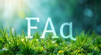 Die 5 meistgestellten Fragen (FAQ) zu Frieden und Sicherheit