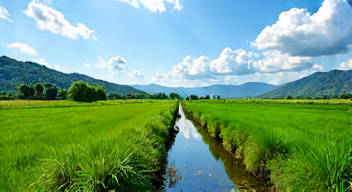 Einfluss der Moorvernässung auf das Klima (2/10)